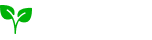 TezBag Logo